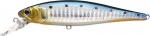 Lucky Craft Pointer 100 Salt Water
