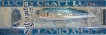 Lucky Craft Pointer 100 Salt Water