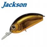 Jackson Merrow