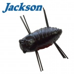 Jackson Mushiiiin 
