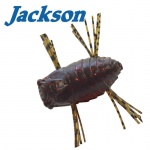 Jackson Mushiiiin 