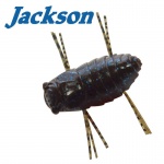 Jackson Mushiiiin 