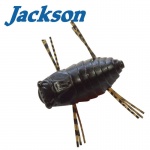 Jackson Mushiiiin 