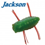Jackson Mushiiiin 