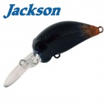 Jackson PY Crank