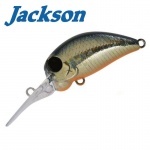 Jackson PY Crank