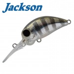 Jackson PY Crank