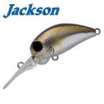 Jackson PY Crank
