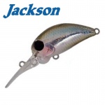 Jackson PY Crank