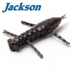 Jackson Yagoooon
