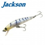 Jackson Athlete  55ARF