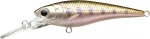 Lucky Craft Bevy Shad 50 SP