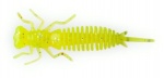 Fanatik Larva