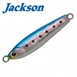 Jackson Gallop Assist Long Cast