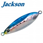 Jackson Gallop Assist Slow Fall