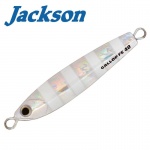 Jackson Gallop Assist Fall Edition 40g Metal Jig