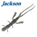 Jackson Warekara 2.3" / 5.84 cm