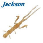 Jackson Warekara 2.3" / 5.84 cm