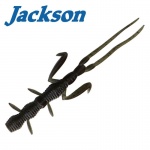 Jackson Warekara 2.3" / 5.84 cm