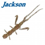 Jackson Warekara 2.3" / 5.84 cm