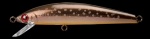Jackson Trout Tune 70HW