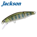 Jackson Meteora Joint 49 Hard lure