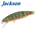 Jackson Meteora Joint 49 Hard lure