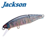 Jackson Meteora Joint 49 Hard lure