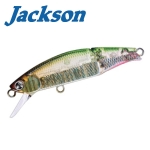 Jackson Meteora Joint 49 Hard lure