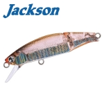 Jackson Meteora Joint 49 Hard lure